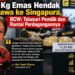 11,31 Kg Emas Hendak Dibawa ke Singapura, BCW: Telusuri Siapa Pemilik Emasnya